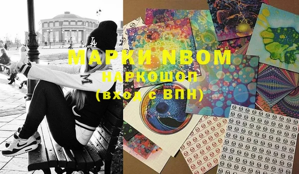 прущие грибы Лихославль