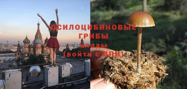 прущие грибы Лихославль