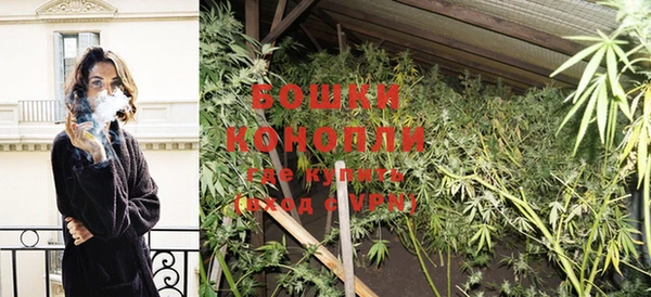 прущие грибы Лихославль