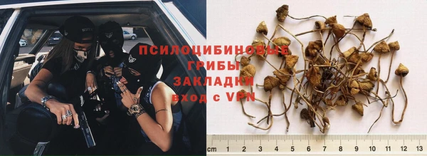 ешки Липки