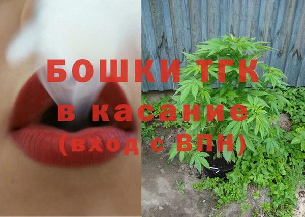 прущие грибы Лихославль