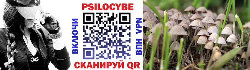 Псилоцибиновые грибы прущие грибы  Купить  Избербаш 